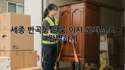 세종 반곡동 원룸 이사, 혼자서도 완벽하게!